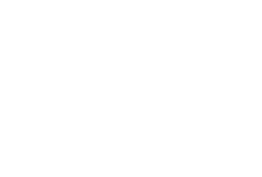 Boost Wellness logo